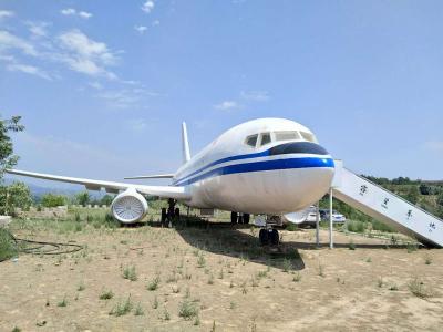 大型客机BX-737模型